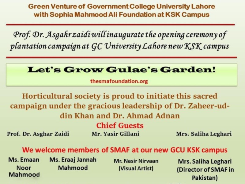 Rebirth of Indigenous&nbsp;Trees